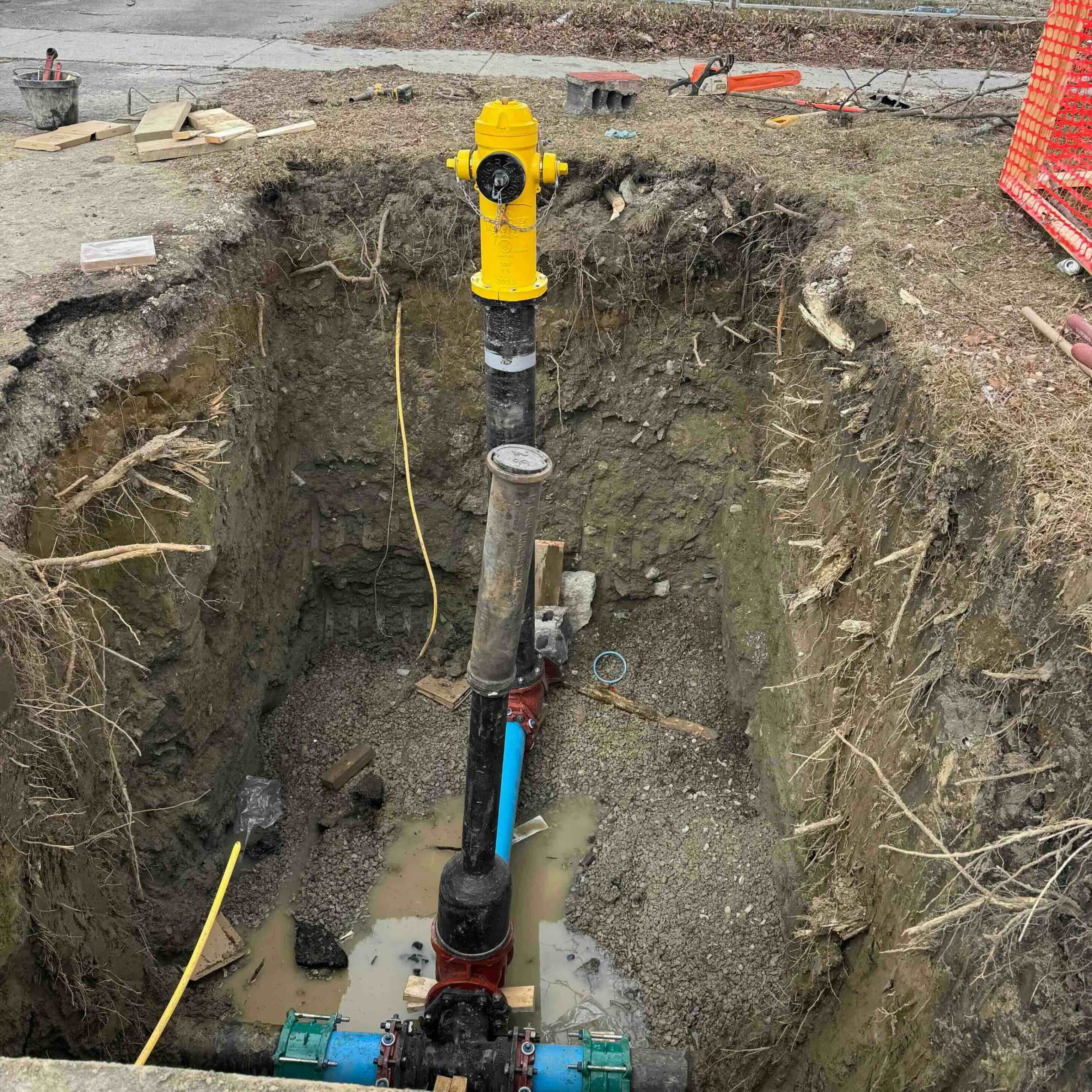 City work trucks and protected street trees beside a Toronto residential property, illustrating site and fire access constraints